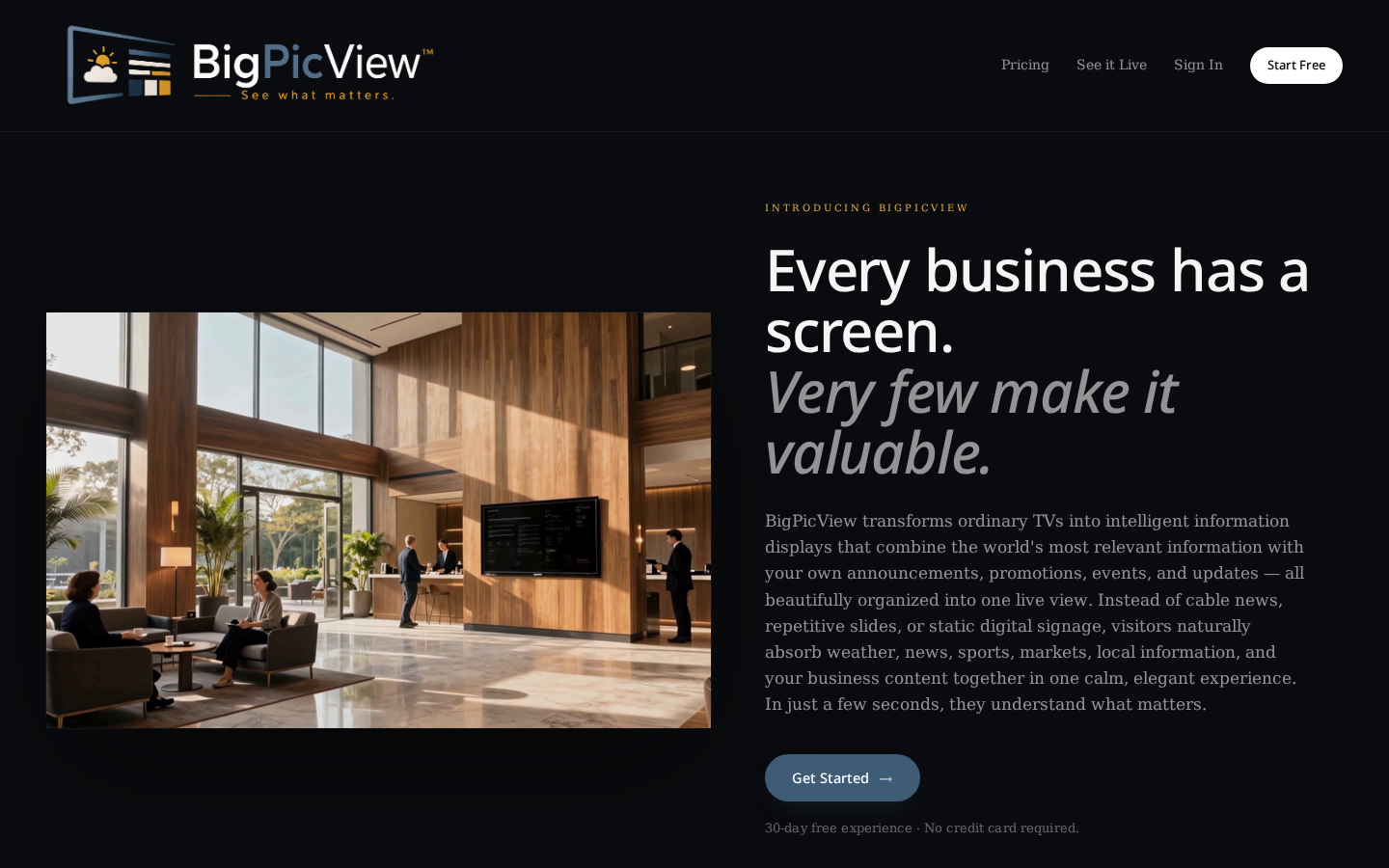 BigPicView™ product screenshot